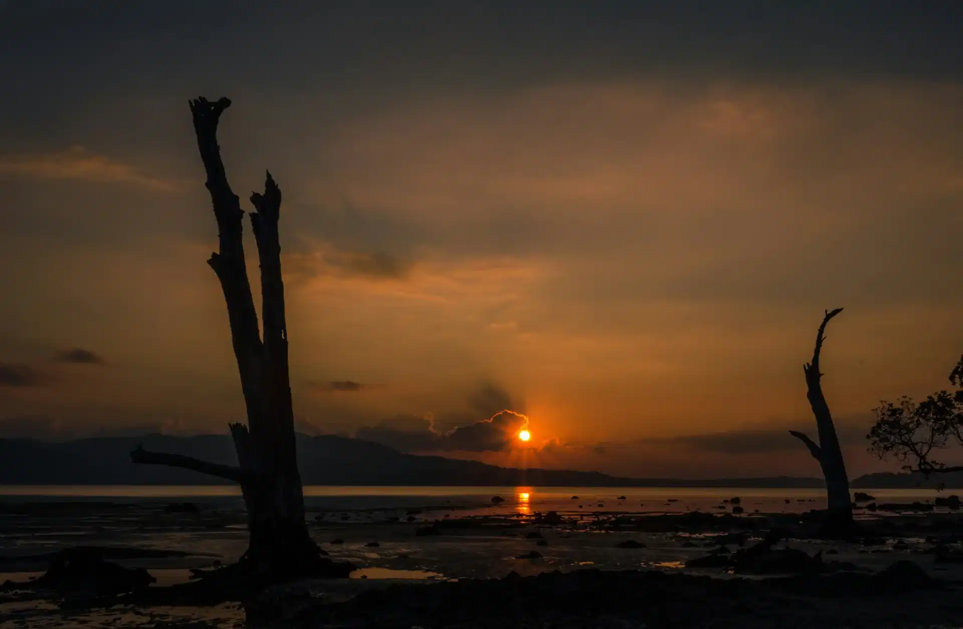 Andaman Nicobar