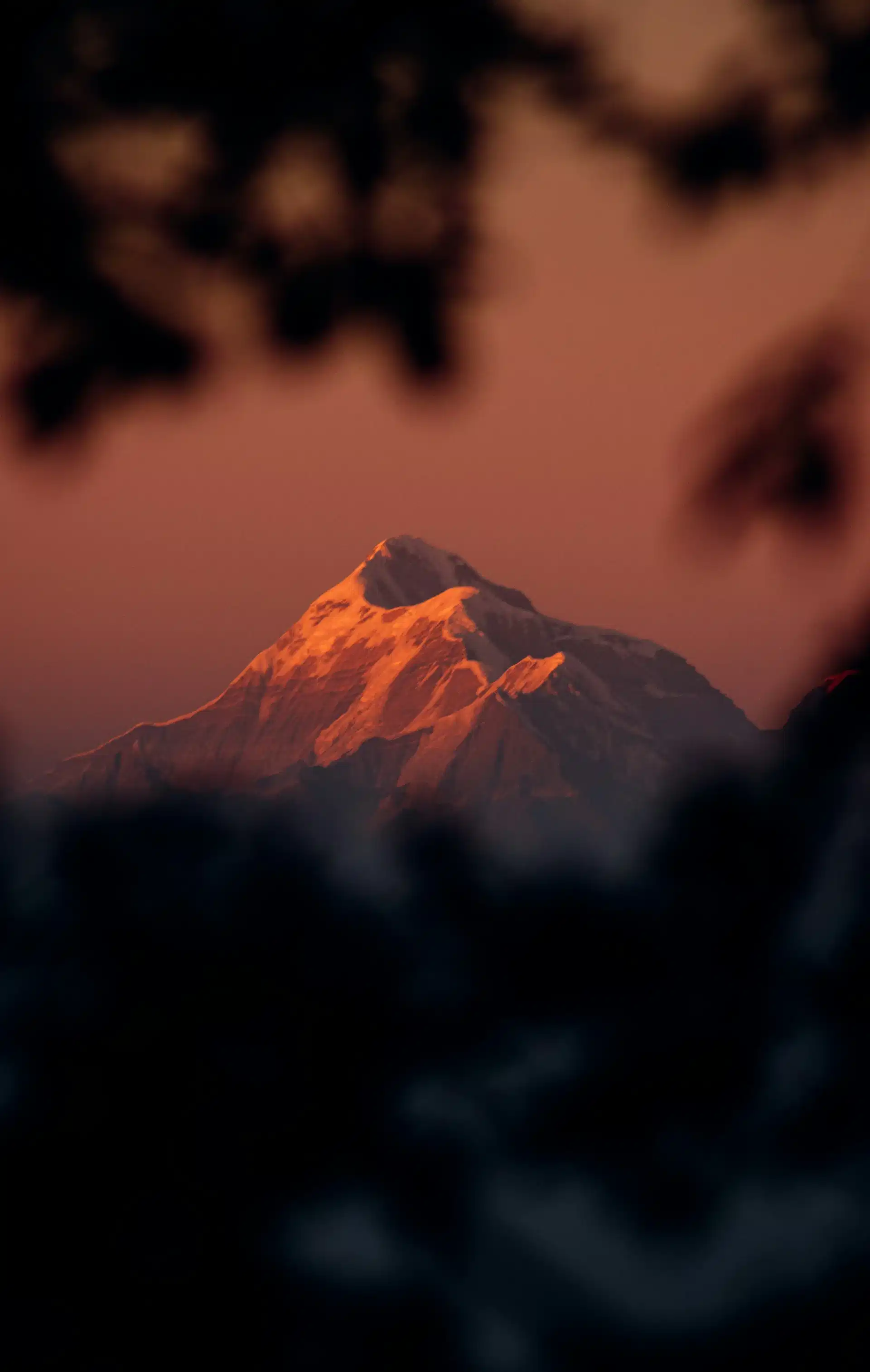 Uttarakhand