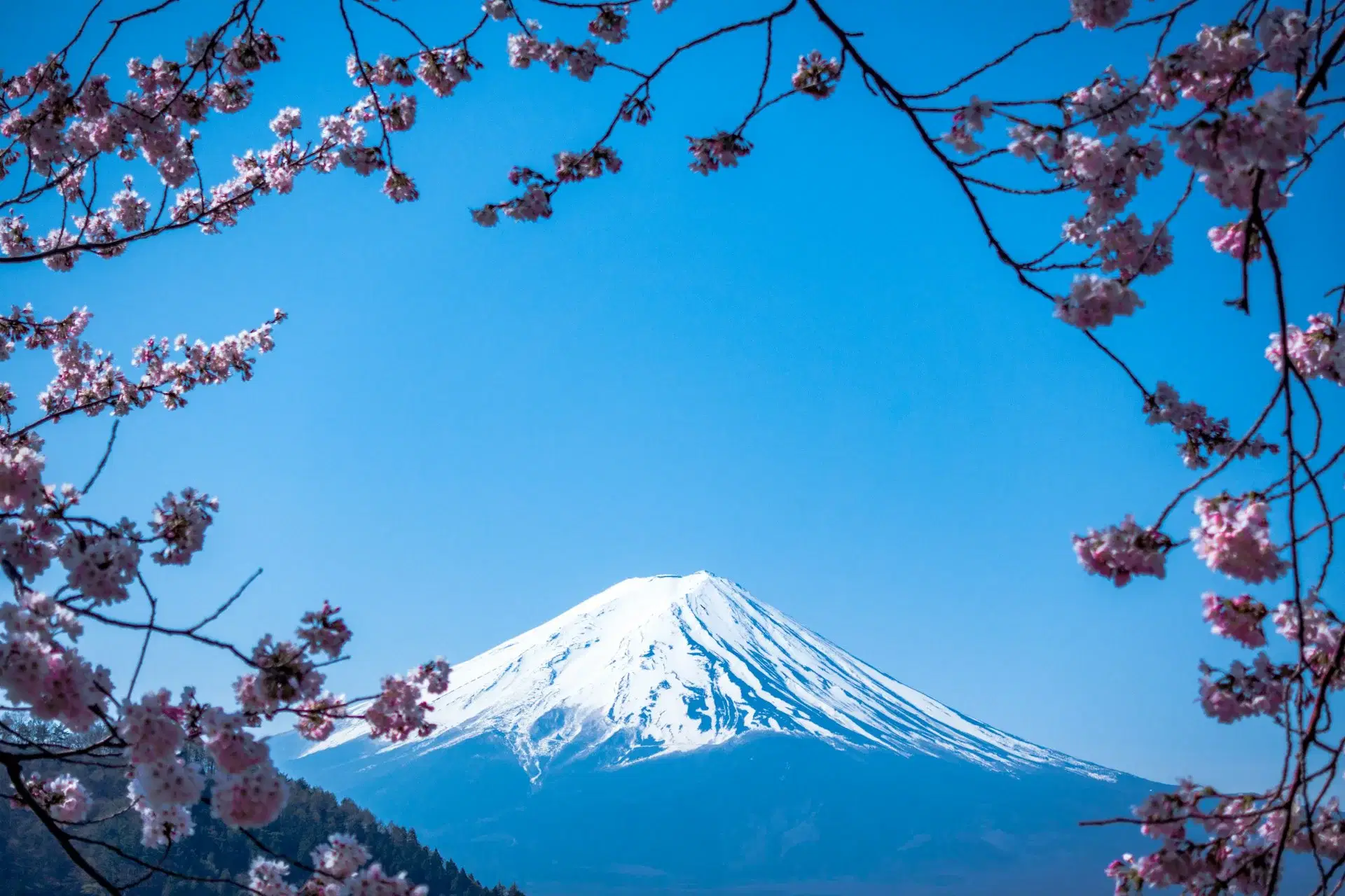 Kyoto, Japan