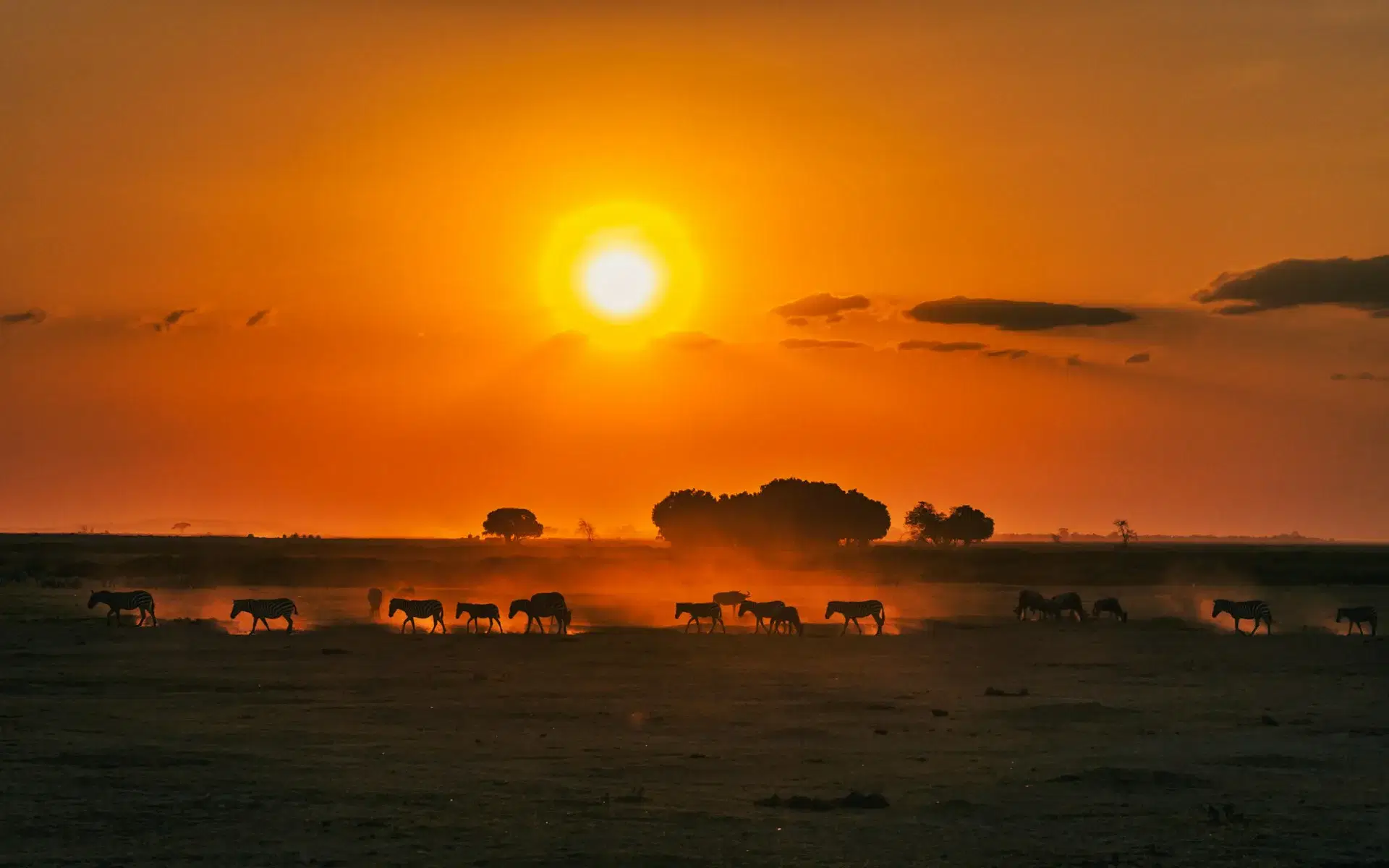 Scenic view of Kenya