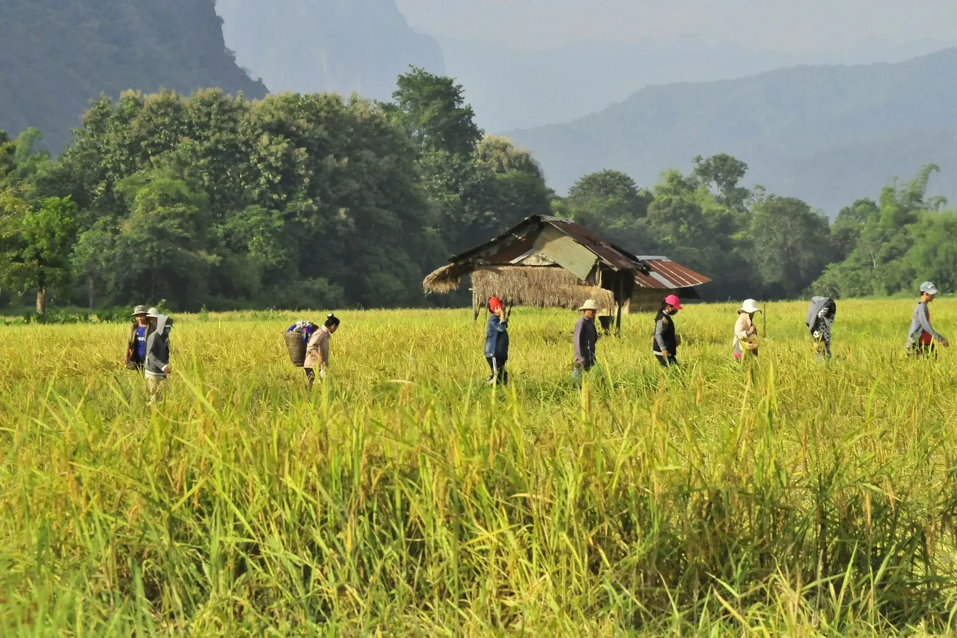 Scenic view of Laos