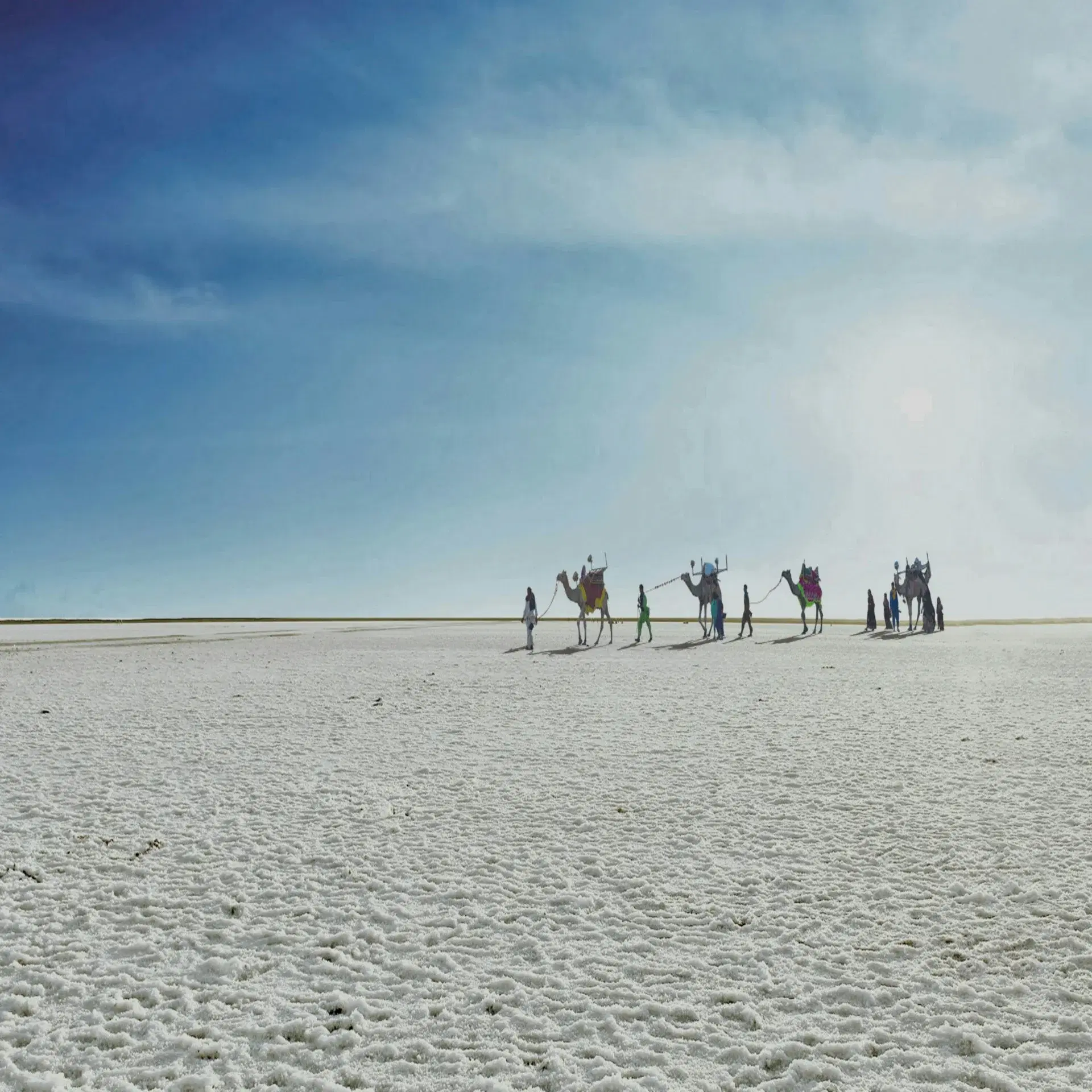 Scenic view of Gujarat