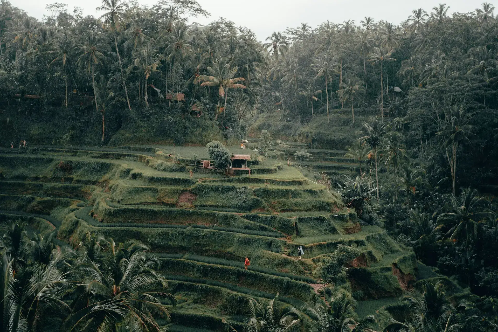 8-Day Enchanting Bali Getaway: Temples, Safari & Seminyak Luxury - highlight 2