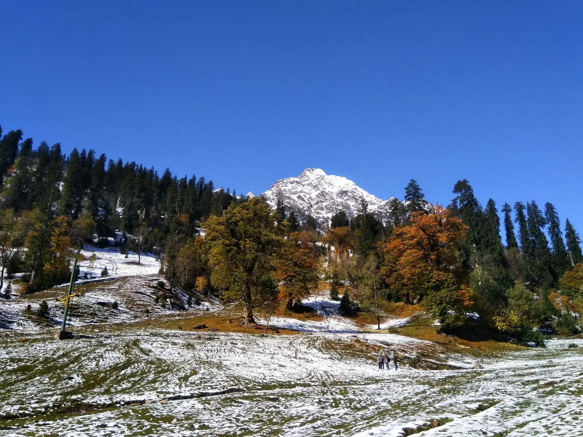 Spectacular Himachal & Amritsar Odyssey: 9 Nights of Majestic Peaks & Golden Serenity - highlight 1