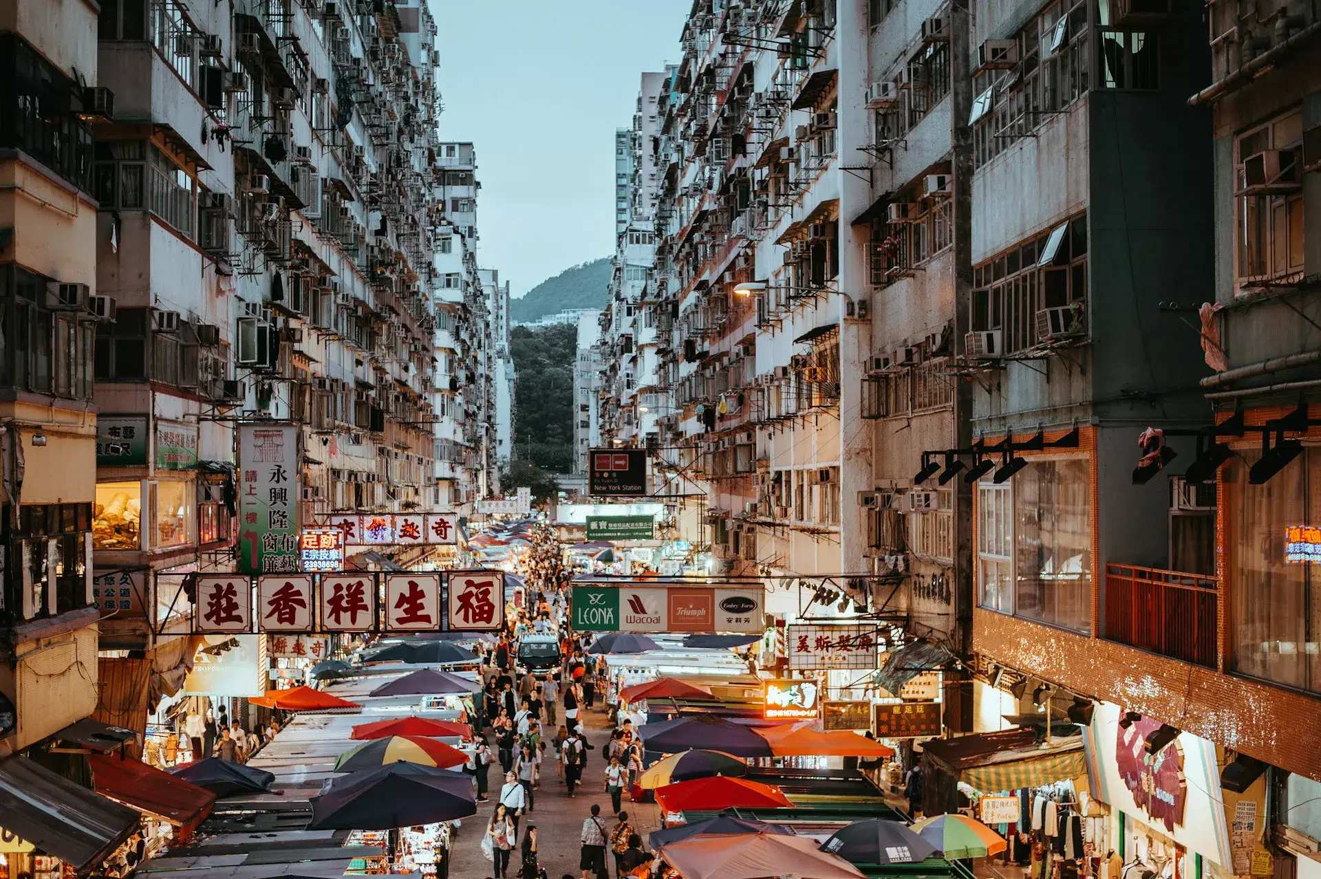 4-Day Hong Kong Thrills: Victoria Peak, Ocean Park & Disneyland Adventure! - highlight 3