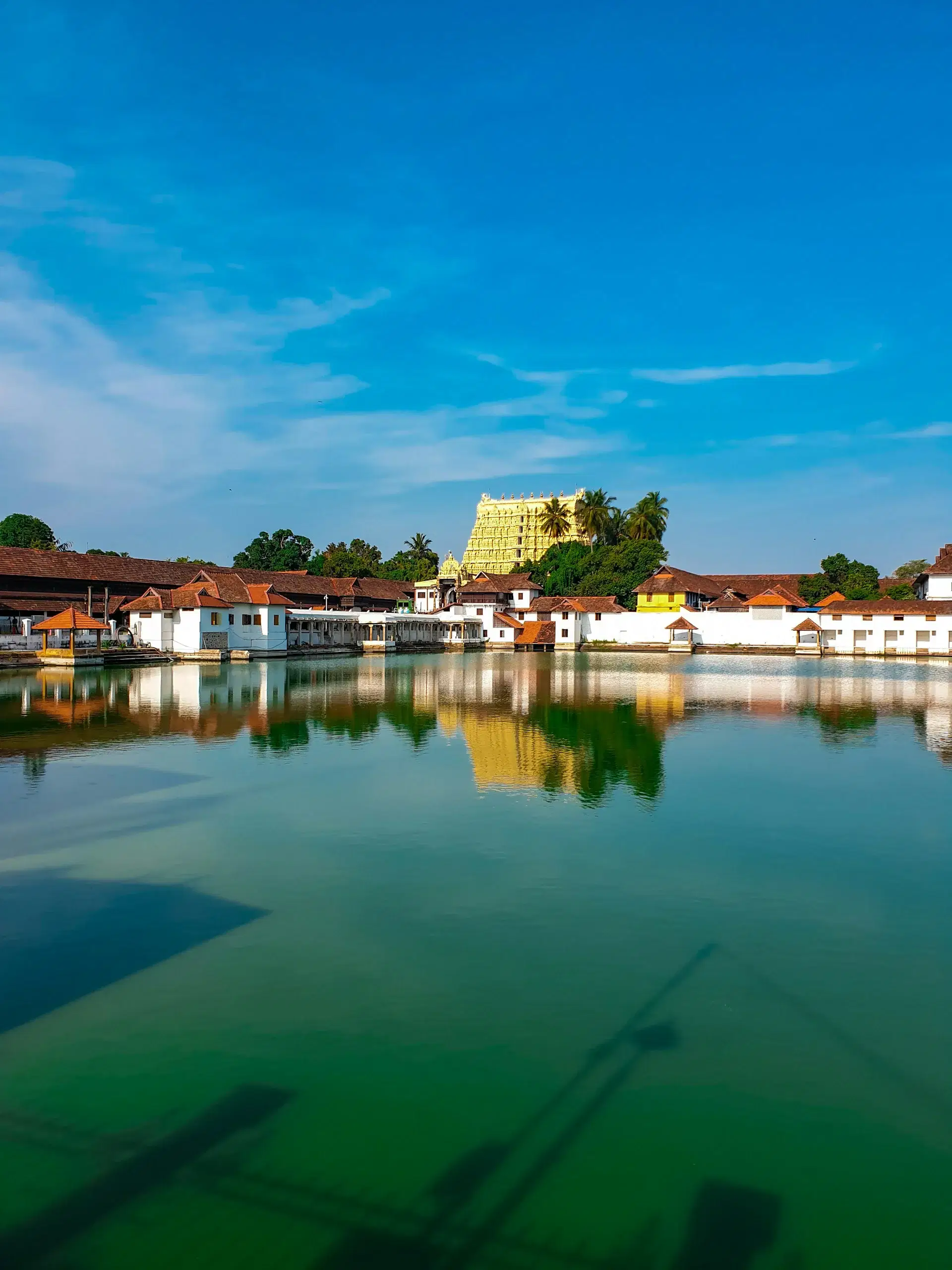 8-Day Kerala "God's Own Country" Dream Tour: Backwaters, Wildlife & Coastal Bliss - highlight 3