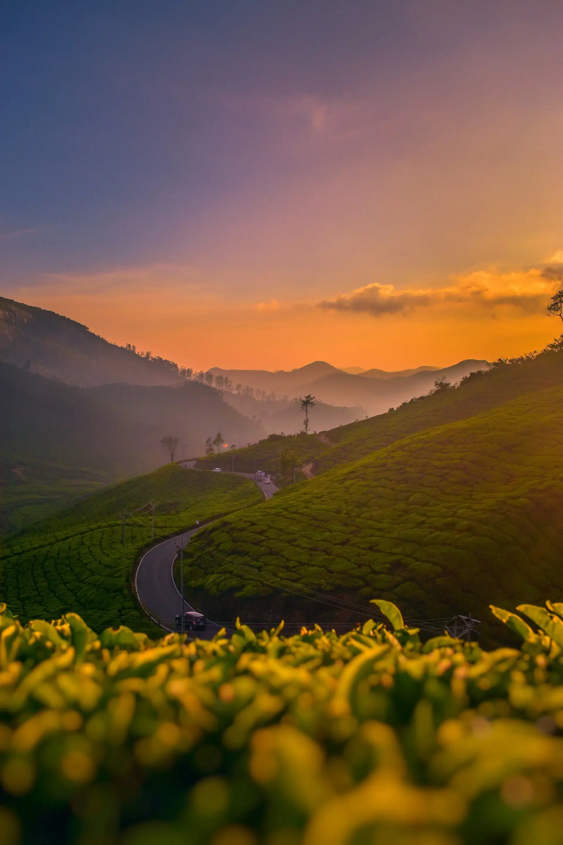 Scenic view of Kerala