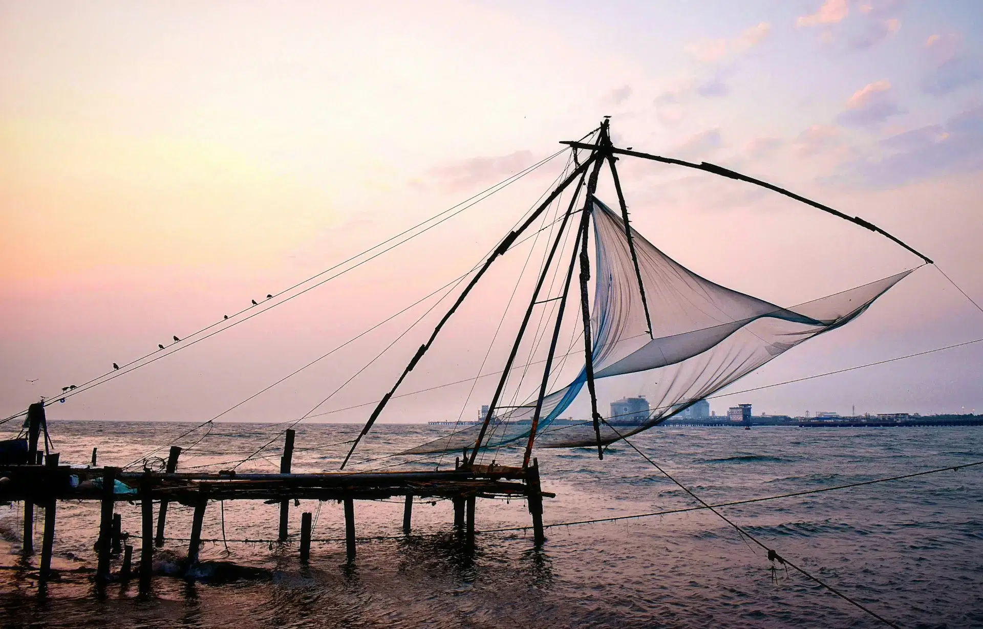 8-Day Kerala "God's Own Country" Dream Tour: Backwaters, Wildlife & Coastal Bliss - highlight 1