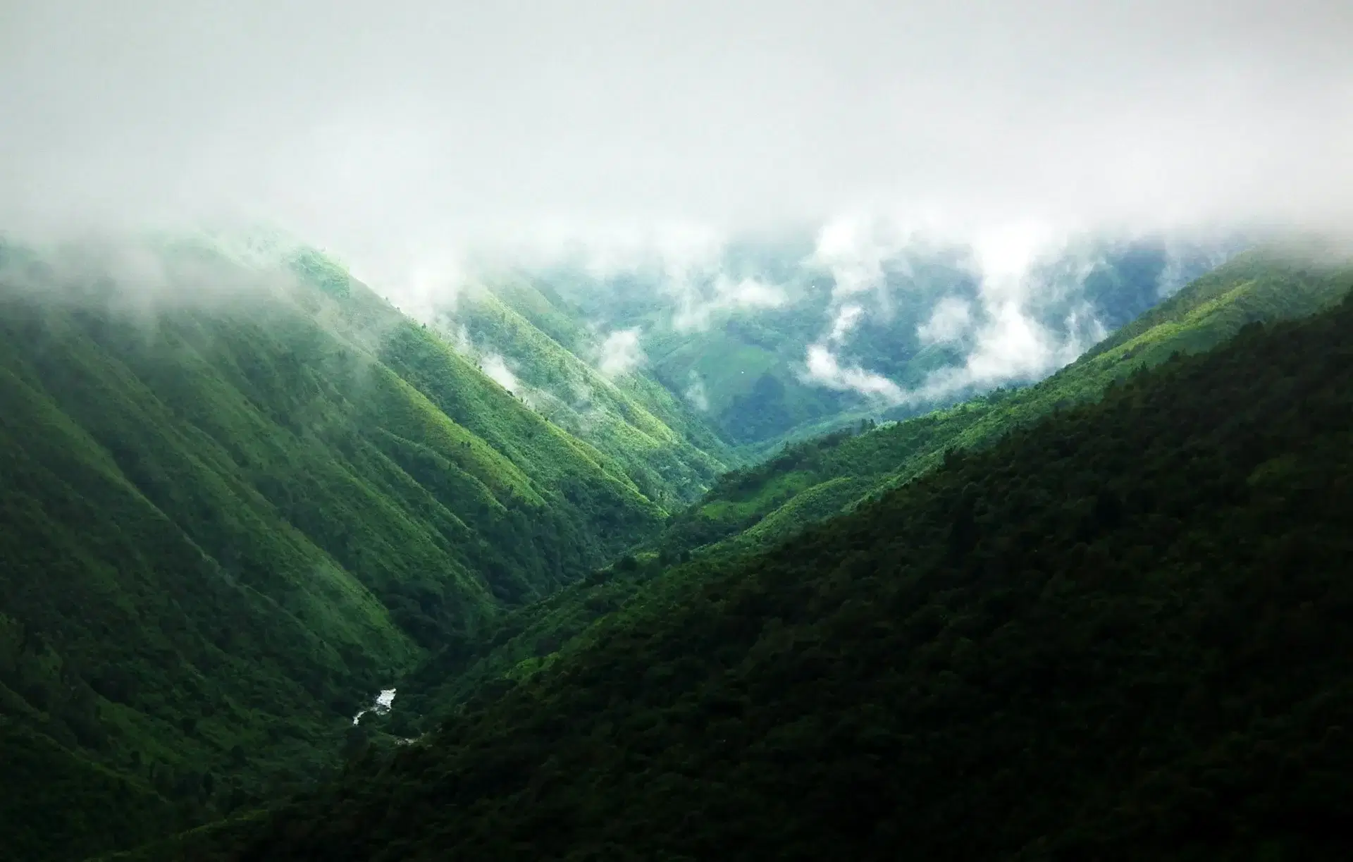 Scenic view of Meghalaya