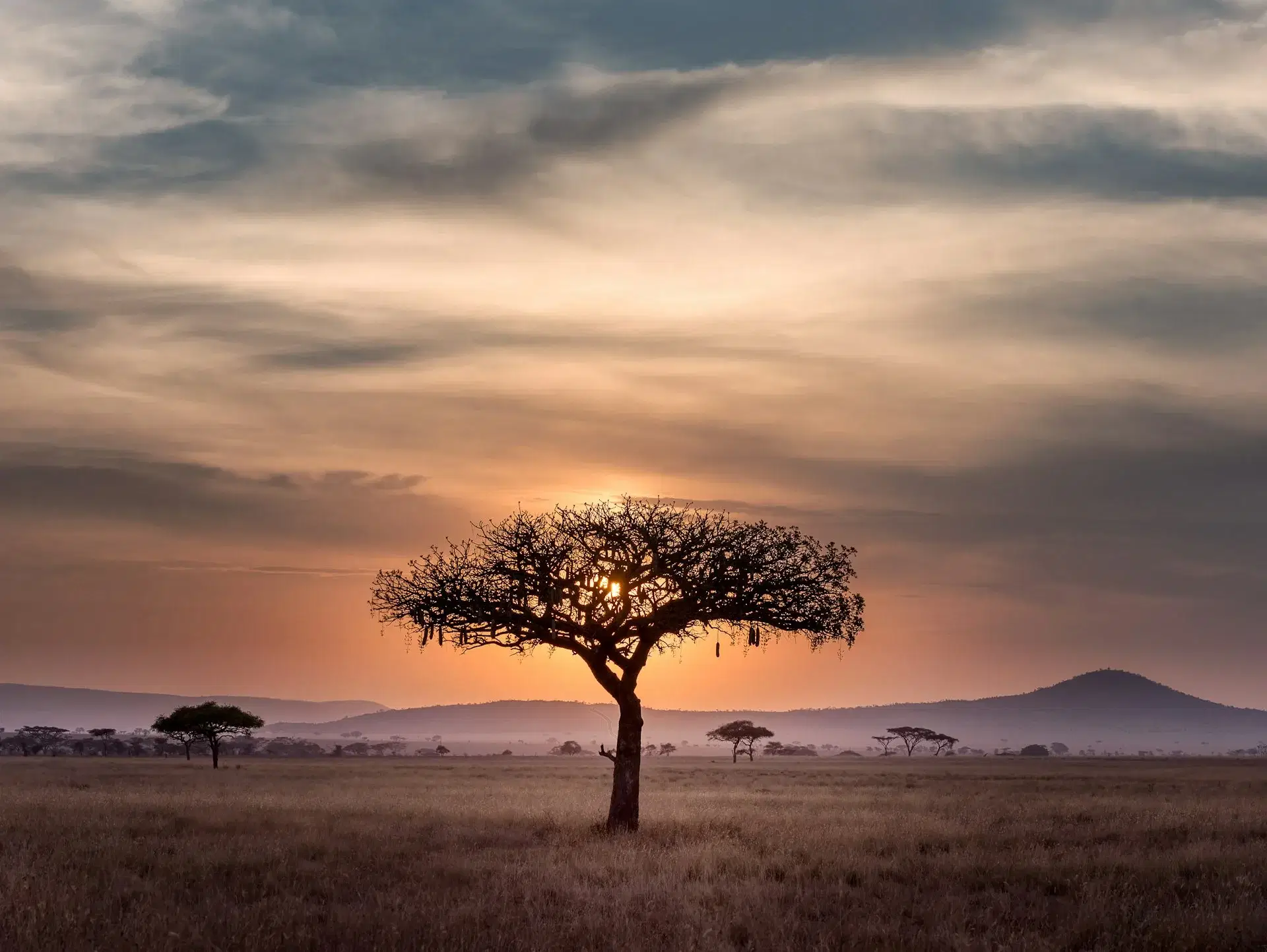 Scenic view of Tanzania